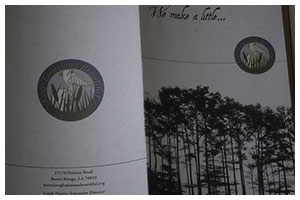 View the donation solicitation brochure for Keep Louisiana Beautiful